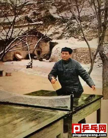 我国国球是什么球，我国的国球是什么（为什么中国乒乓有绝对统治力）
