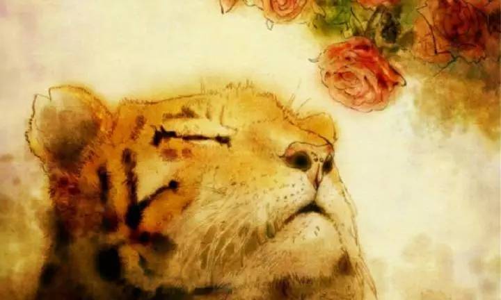 旧恩网名，旧恩微信昵称（花信风：为什么心有猛虎）