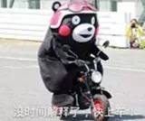 电视剧情深深雨濛濛扮演尔豪的是谁，情深深雨蒙蒙演尔豪的演员是谁（《情深深雨濛濛》里的陆尓豪你还记得吗）
