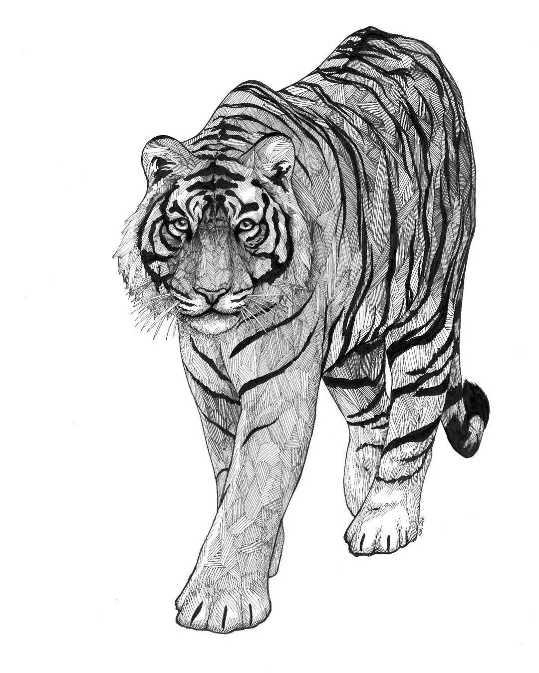 黑白画(黑白插画丨耐人寻味的几何动物) - 赤虎壹号