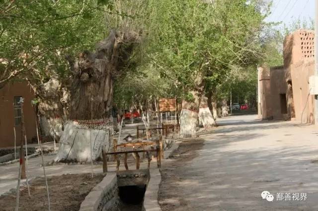 鄯善有哪些乡镇，鄯善有哪些乡镇街道（鄯善视界，各乡镇都有）