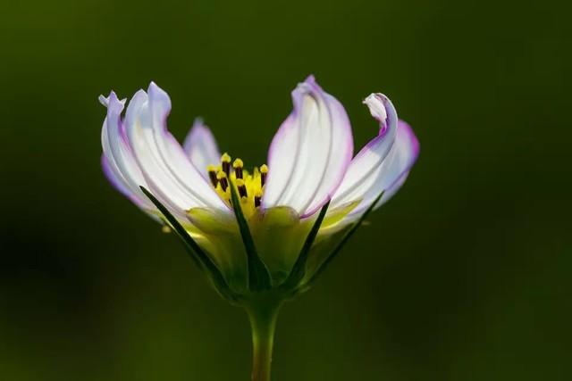 60mm等于多少cm，6毫米等于多少厘米（30元与3000元的较量）