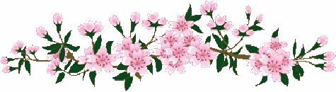 鄯善有哪些乡镇，鄯善有哪些乡镇街道（鄯善视界，各乡镇都有）