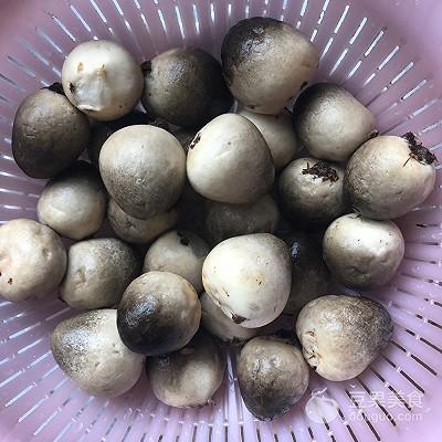 草菇怎么做好吃，草菇怎么做好吃又简单视频（蚝油草菇的做法）