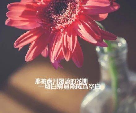 漂亮的空间留言！，好玩的空间留言（喜欢就发个空间说说吧）