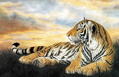 稳如泰山指什么生肖,稳如泰山打一肖(这3个生肖再穷也有朝一日做老板)