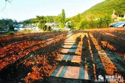 铜陵一日游有哪些地方，铜陵旅游攻略一日游（铜陵周末游10个地点已列好）