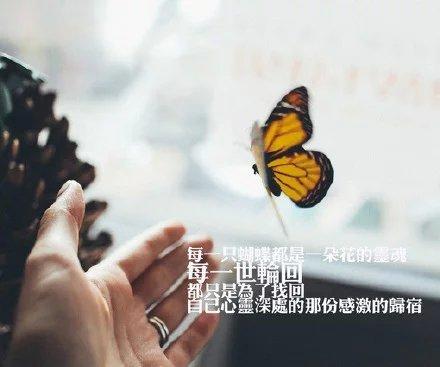 漂亮的空间留言！，好玩的空间留言（喜欢就发个空间说说吧）