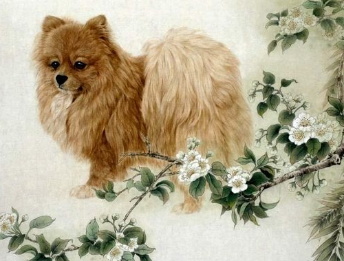 稳如泰山指什么生肖,稳如泰山打一肖(这3个生肖再穷也有朝一日做老板)