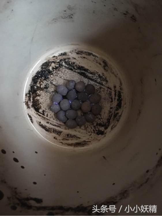 花盆下面的孔用什么堵，花盆底部的孔用什么堵（学会这招再也不怕花盆孔大了）