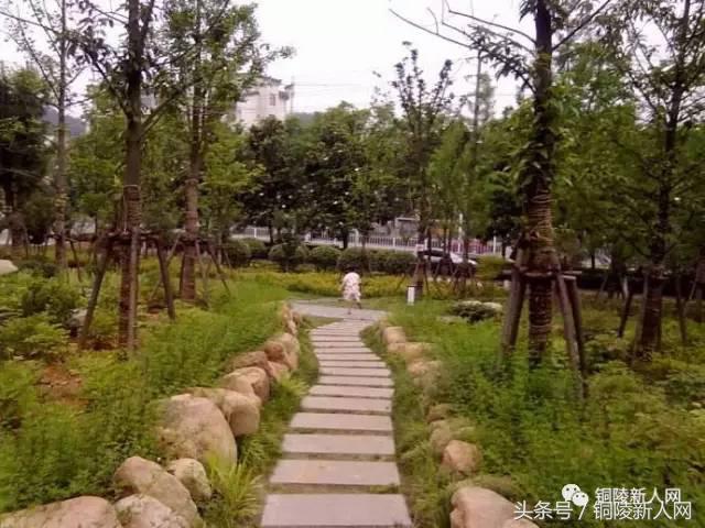 铜陵一日游有哪些地方，铜陵旅游攻略一日游（铜陵周末游10个地点已列好）