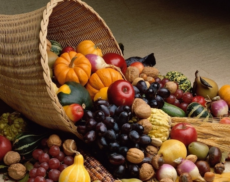 丁香茶的功效，茯苓丁香茶的功效（让你的胃口跟美食更配）