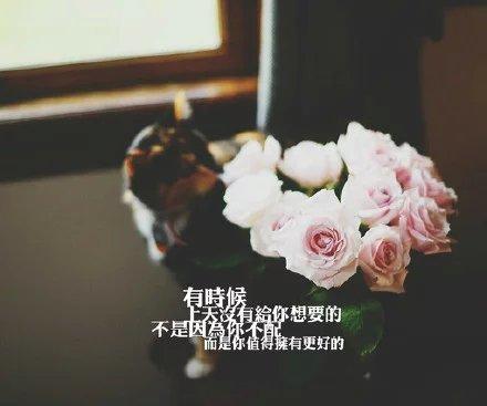 漂亮的空间留言！，好玩的空间留言（喜欢就发个空间说说吧）