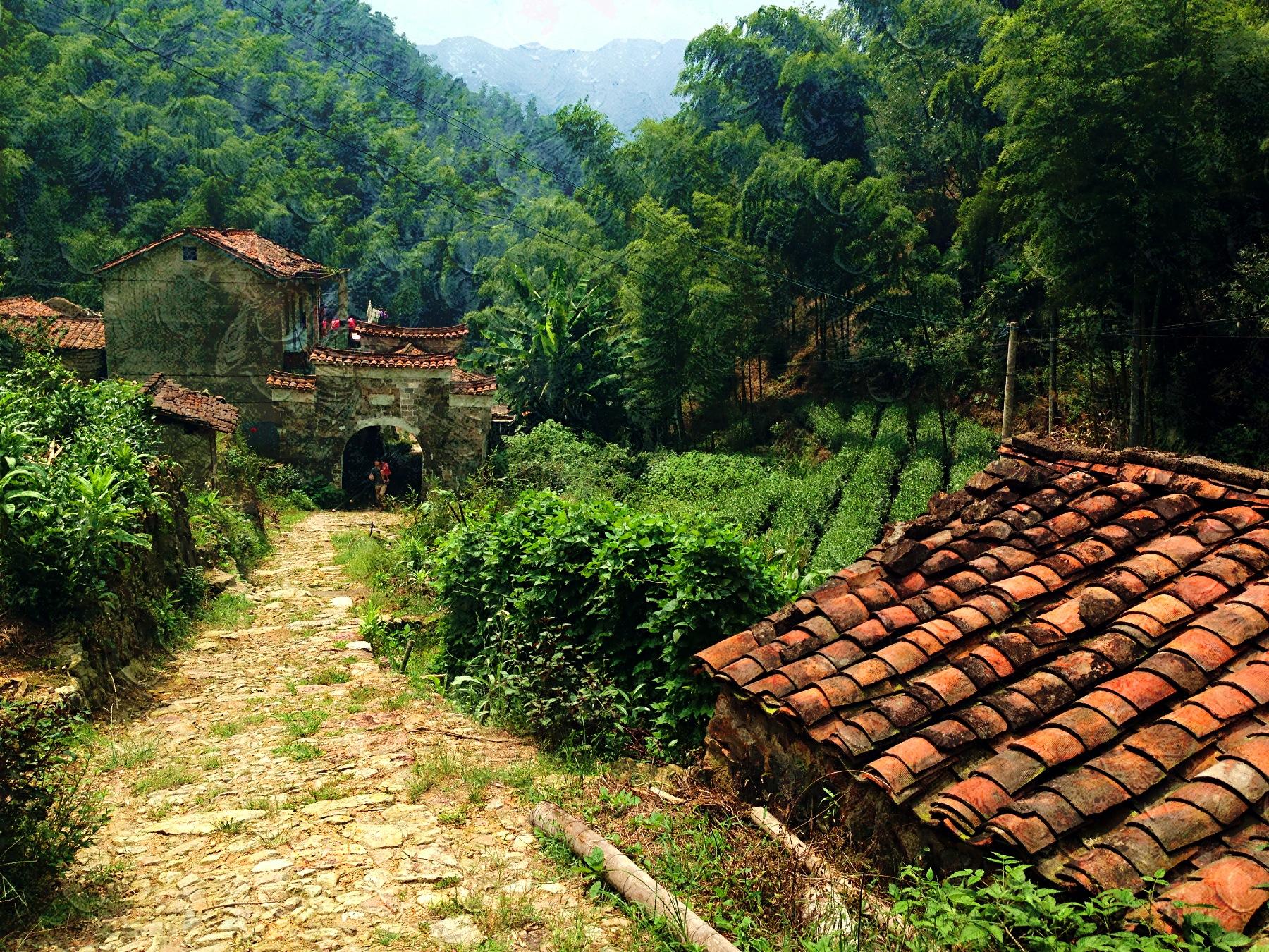 衢州特产 衢州特产介绍，衢州特产有哪些土特产（咱们衢州这3大宝藏）