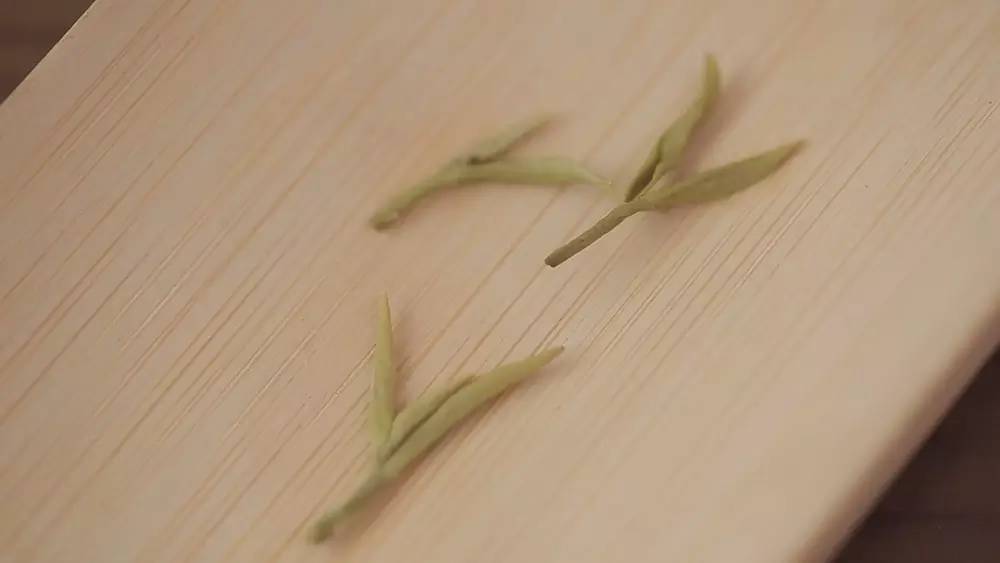 碧螺春产自哪里，中国名茶碧螺春产自哪里（中国十大名茶之一苏州碧螺春）