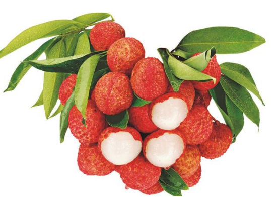 释迦果热量高吗，释迦果的营养成分高吗（没注意这两点 吃水果也发胖）