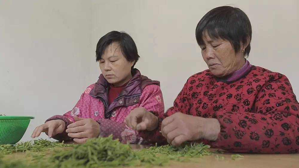 碧螺春产自哪里，中国名茶碧螺春产自哪里（中国十大名茶之一苏州碧螺春）