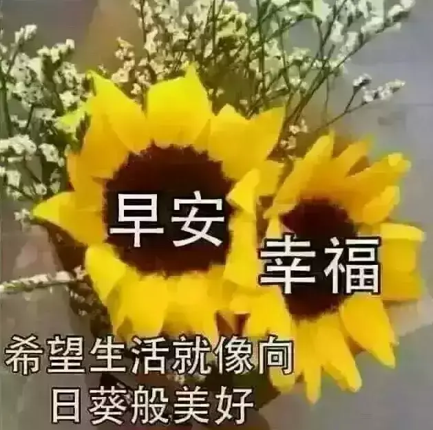 早安问候语图片，早安问候语图片每日更新（早安图片 早安问候语配图片）