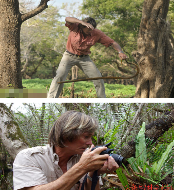 奥斯丁史蒂文斯,蛇王奥斯汀("毒蛇之父"创造各种世界纪录)