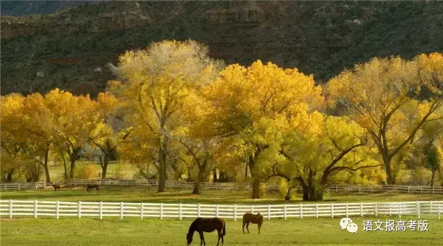 熟语是什么意思，熟语是什么意思现代汉语（梳理关系，让熟语不再陌生）