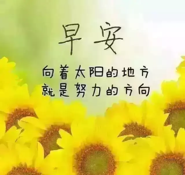 早安问候语图片，早安问候语图片每日更新（早安图片 早安问候语配图片）