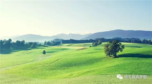 熟语是什么意思，熟语是什么意思现代汉语（梳理关系，让熟语不再陌生）