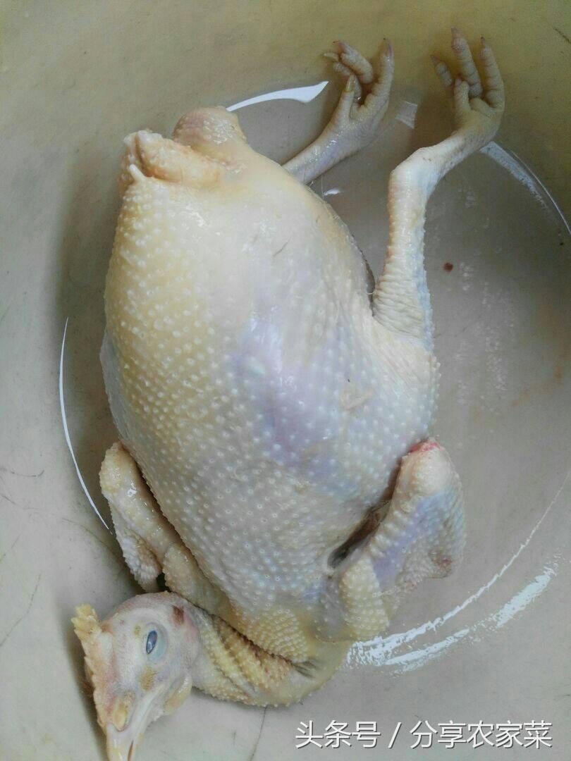 甲鱼炖鸡汤的做法步骤，甲鱼煲鸡汤的做法（母鸡猪肚鳖）