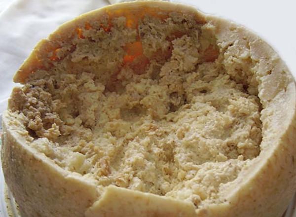 活蛆乳酪为什么被禁止,奶酪是蛆发酵的(意大利这种乳