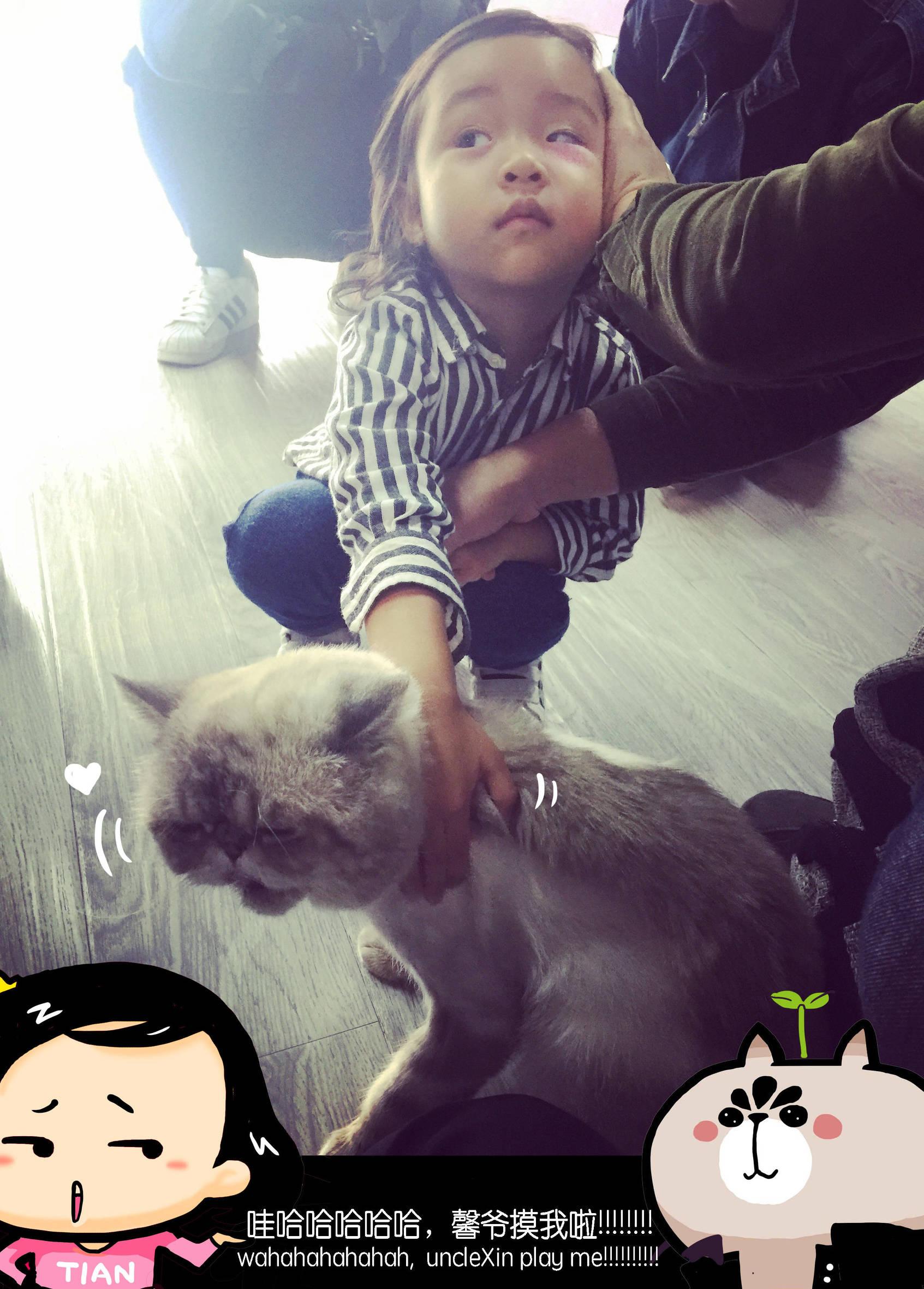 非常完美陆钧彦淼淼，《非常完美》明明是欺骗人的.台上那些男生怎么还那么开心.收了坑（假相亲节目真网红制造机）