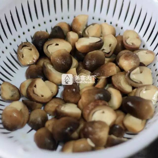 美食做法大全菜谱，美食大全菜谱做法（七种蘑菇最有营养吃法大公开）