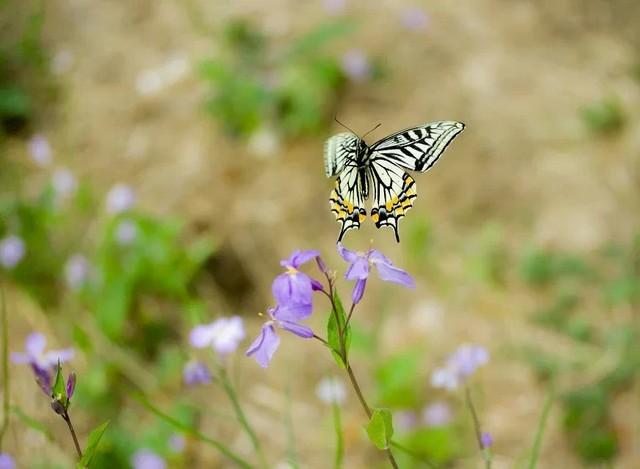 60mm等于多少cm，6毫米等于多少厘米（30元与3000元的较量）