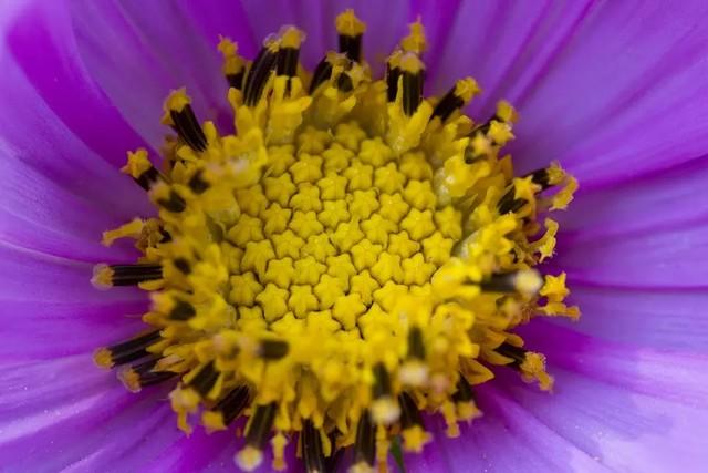 60mm等于多少cm，6毫米等于多少厘米（30元与3000元的较量）