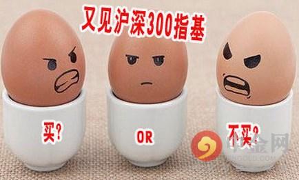 沪深300指数是什么，什么是沪深300指数基金（沪深300指数是什么意思）