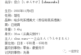 俊介狗狗购买攻略（哪里能买到俊介狗狗？如何选择健康的俊介狗狗）