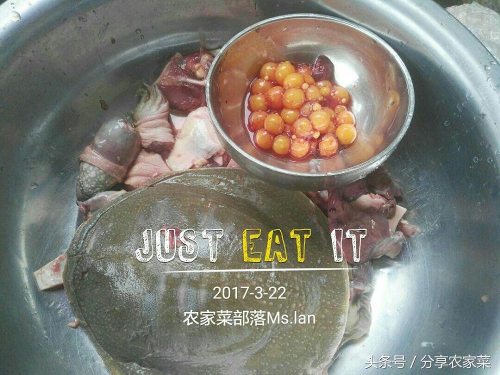 甲鱼炖鸡汤的做法步骤，甲鱼煲鸡汤的做法（母鸡猪肚鳖）
