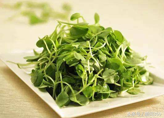 豆苗的营养价值和功效，豌豆苗的营养价值与功效（夏季常食用豌豆苗）