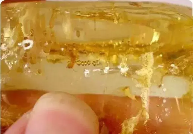 柯巴树脂与蜜蜡的区别，柯巴树脂与蜜蜡的区别图片（怎样才能戳穿它的真面目）