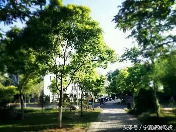 宁夏卫生学校(宁夏职业高中)