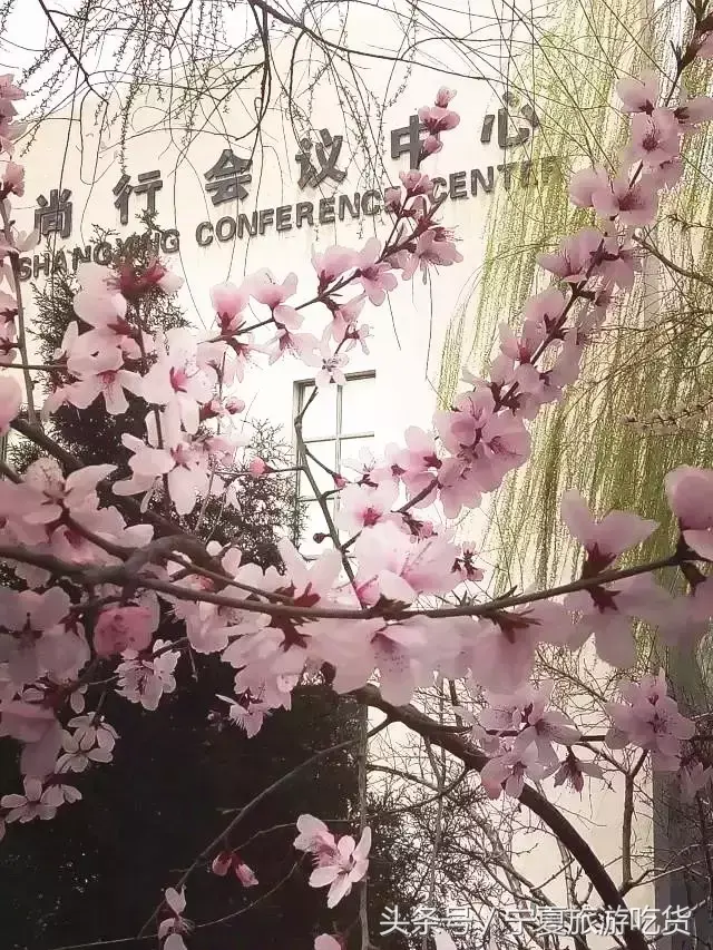 宁夏卫生学校(宁夏职业高中)