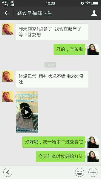 小泰迪狗多少钱图片和价格（如何挑选适合自己的泰迪狗品种）