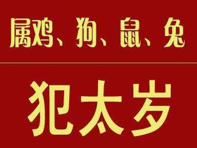 属狗的人今年财运怎么样，属狗的人今年财运怎么样呢（今年遭遇小人不断）