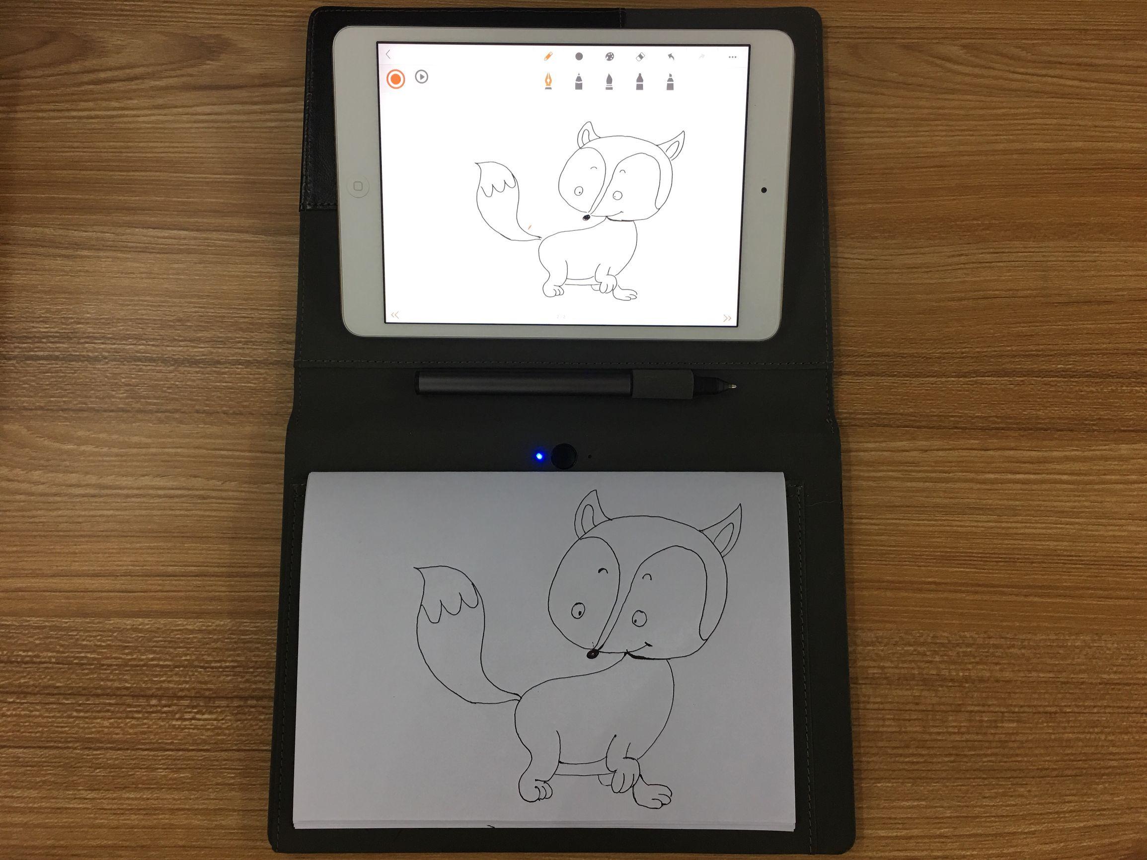 蜥蜴（蜥蜴简笔画），简笔画——萌翻四海八荒的小狐狸（简笔画的蜥蜴）