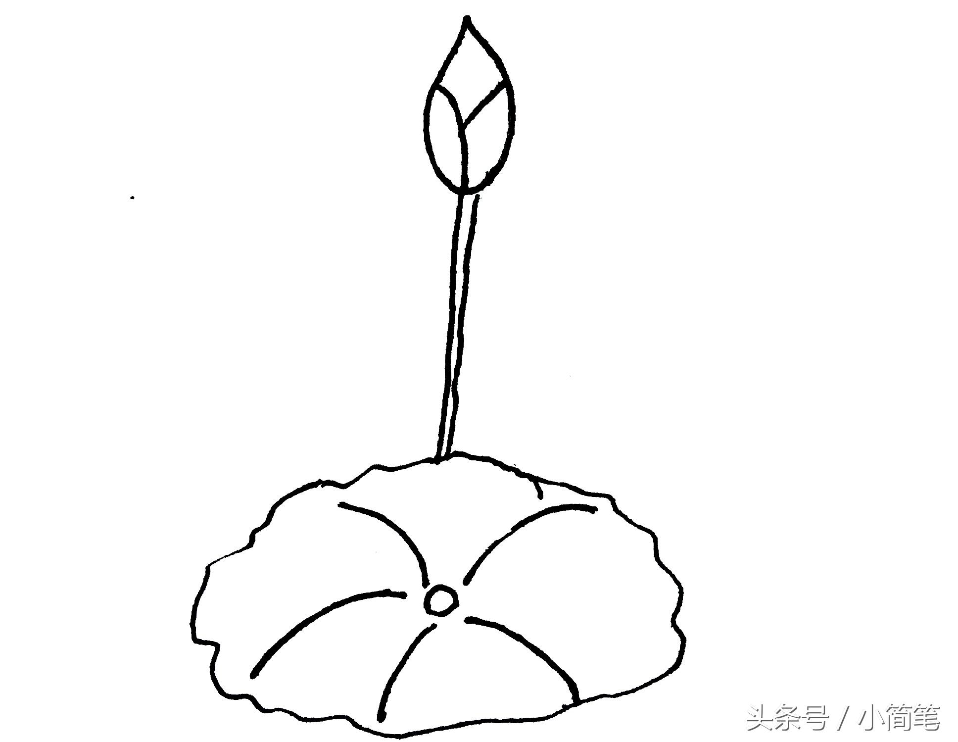 荷花简笔画图片，荷花简笔画图片带颜色（画几朵荷花只需3分钟）