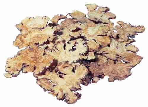 麦冬种子多少钱一斤，麦冬种子多少钱一斤啊（2017年4月药材产地最新中药材价格及行情走势及分析预测）