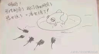 小蝌蚪找妈妈简笔画，小蝌蚪找妈妈简笔画图片（小蝌蚪找妈妈简笔画4幅图）