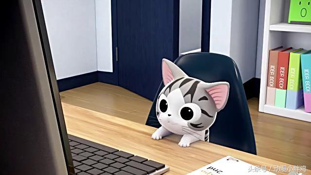 我有超级萌友小奇猫，奇猫（3D版动漫《甜甜私房猫》小奇360°全方位卖萌）