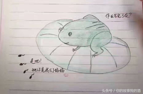 小蝌蚪找妈妈简笔画，小蝌蚪找妈妈简笔画图片（小蝌蚪找妈妈简笔画4幅图）