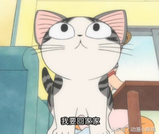 我有超级萌友小奇猫，奇猫（3D版动漫《甜甜私房猫》小奇360°全方位卖萌）