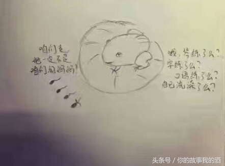 小蝌蚪找妈妈简笔画，小蝌蚪找妈妈简笔画图片（小蝌蚪找妈妈简笔画4幅图）