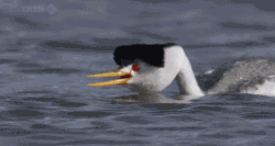 宝贝儿你真紧网名，宝贝儿你真紧（谁能帮我分析下这个到底是啥原理啊）